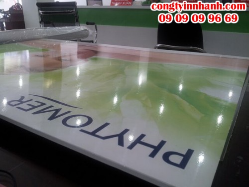 Công ty in nhanh nhận in PP bồi formex 5 mm